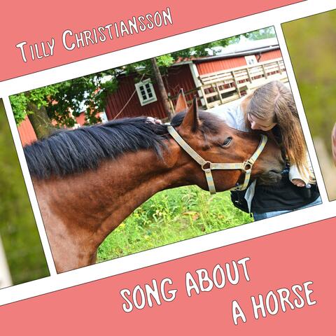 Song About a Horse