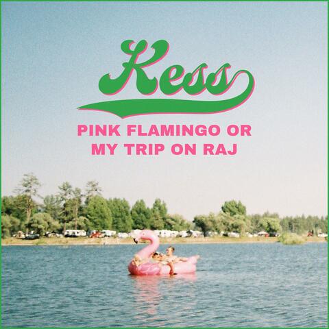Pink Flamingo or My Trip on Raj