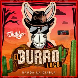 El burro loco
