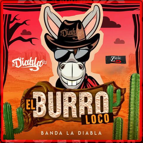 El burro loco