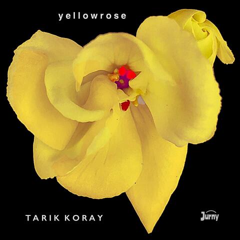 yellowrose