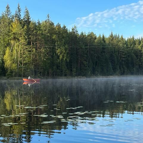 Håller din hand