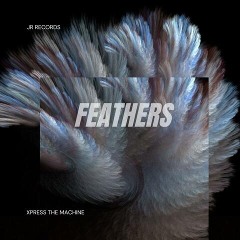 Feathers