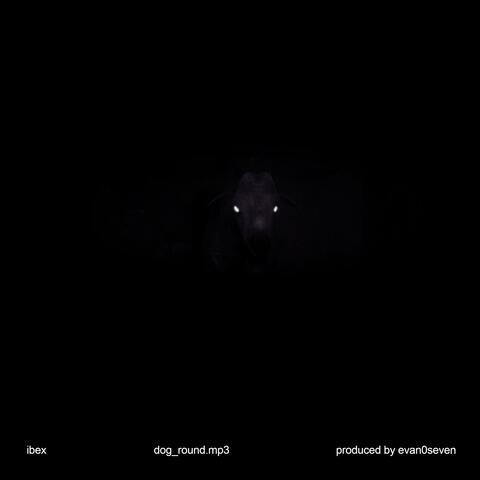 Dog Round