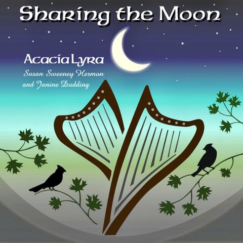 Sharing the Moon