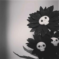 My Dead Daisy