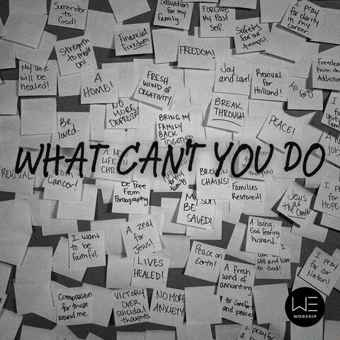What Can't You Do (feat. Hannah Lampe) [Live]