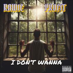 I dont wanna (feat. Profit)