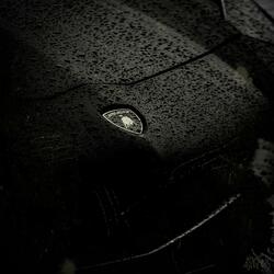 Focus #1 (Aventador)