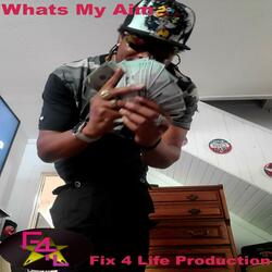 Whats My Aim