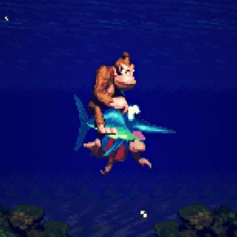 aquatic ambience