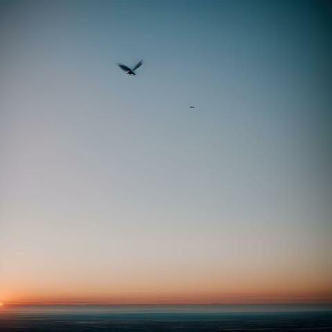 Fly Away