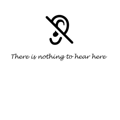 There Is Nothing To Hear Here