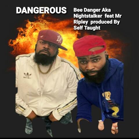 Dangerous (feat. Mr Ripley)