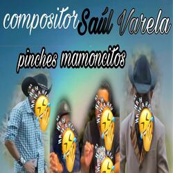 Pinches Mamoncitos