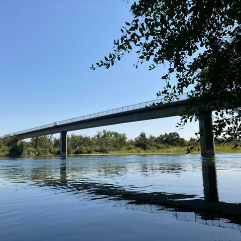Over The Bridge