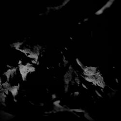 Decay