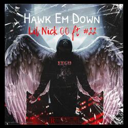 Hawk Em Down