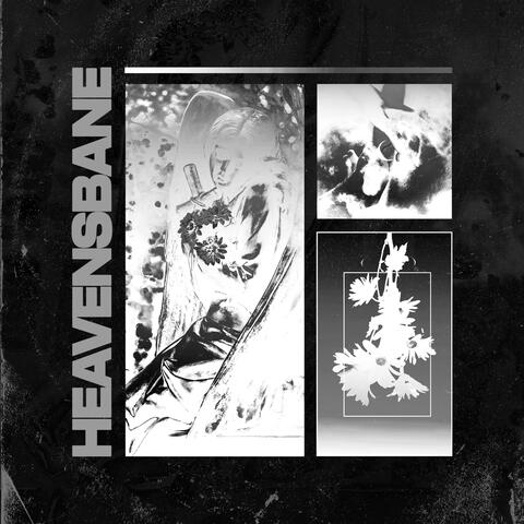 HEAVENSBANE (instrumental)