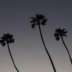Shores