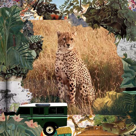 On Safari