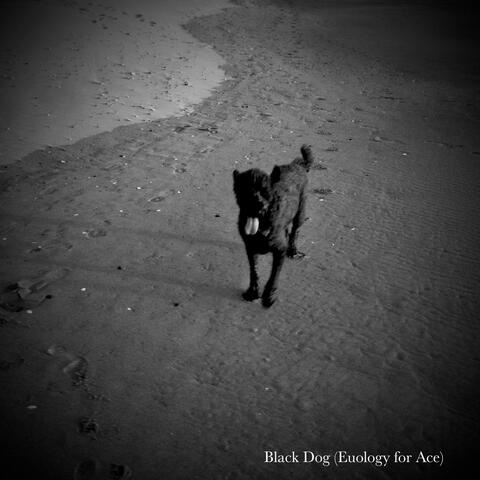 Black Dog (Eulogy for Ace)