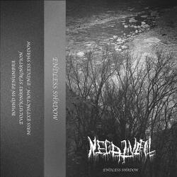 BOUND IN PENUMBRA