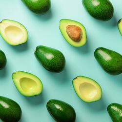 Sentimental Geometry Vol. I