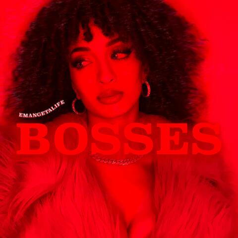 Bosses