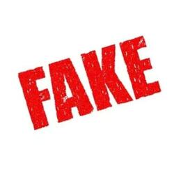 Fake Image (feat. KayzoWithDaDraco)