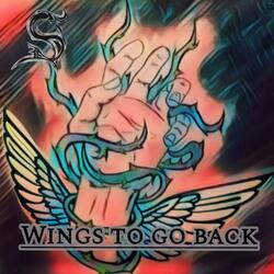 Wings to go back