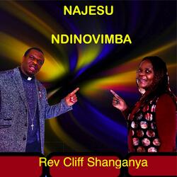 Iva Gamba Utarise Mhandu