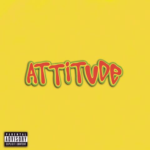 Attitude