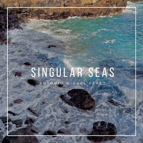 Singular Seas