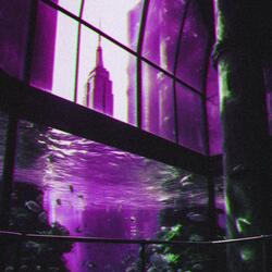 Backrooms Level 513 : "Synthwave Aquascape" (VAPORNOISE)
