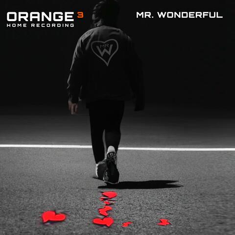 Mr. Wonderful