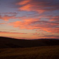 pastures