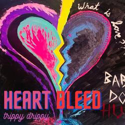 Heart Bleed
