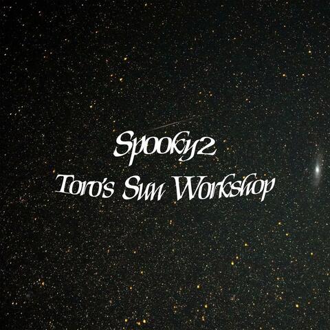 Toro's Sun Workshop