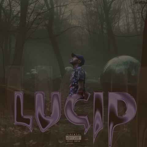 Lucid
