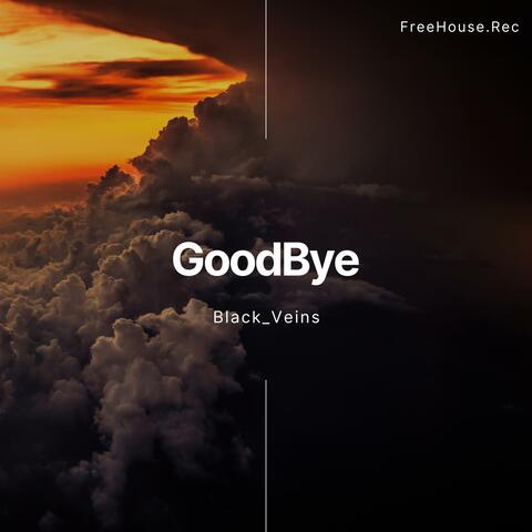 GoodBye