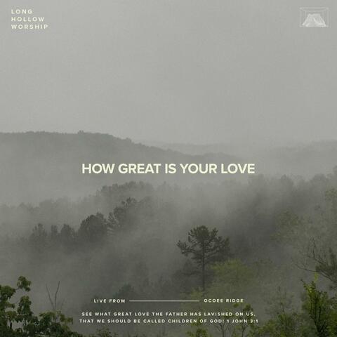 How Great Is Your Love (Live)