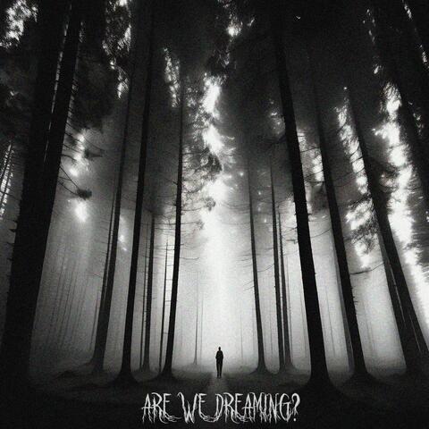 are we dreaming?