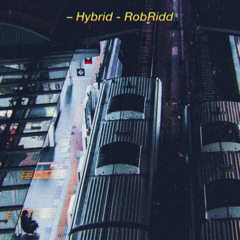 Cold Storage (feat. RobRidd)