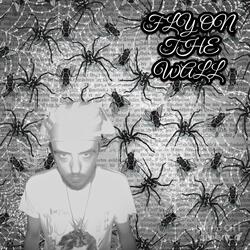 FLY ON THE WALL