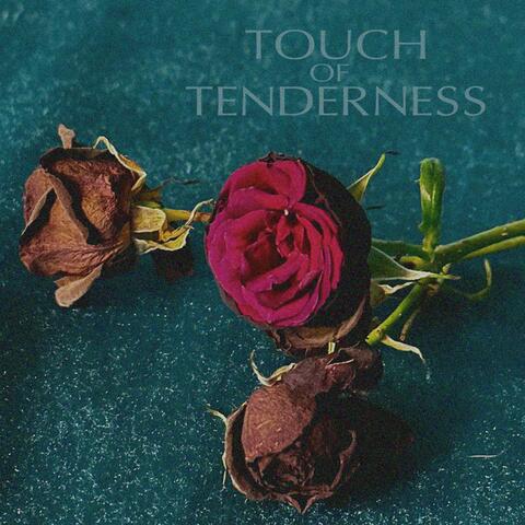 Touch of Tenderness