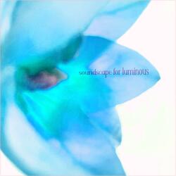 Soundscape for Luminous