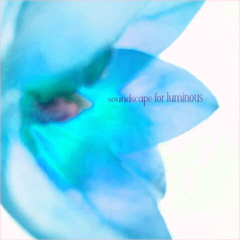 Soundscape for Luminous