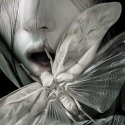 you'll never see me ever again