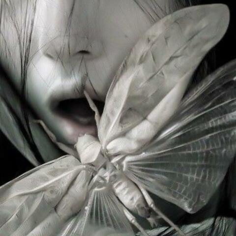 you'll never see me ever again